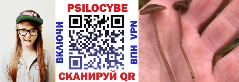Псилоцибиновые грибы ЛСД  Ершов 
