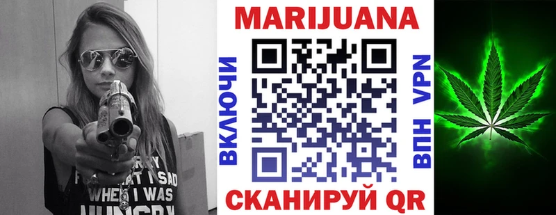 где найти   Ершов  Бошки Шишки планчик 